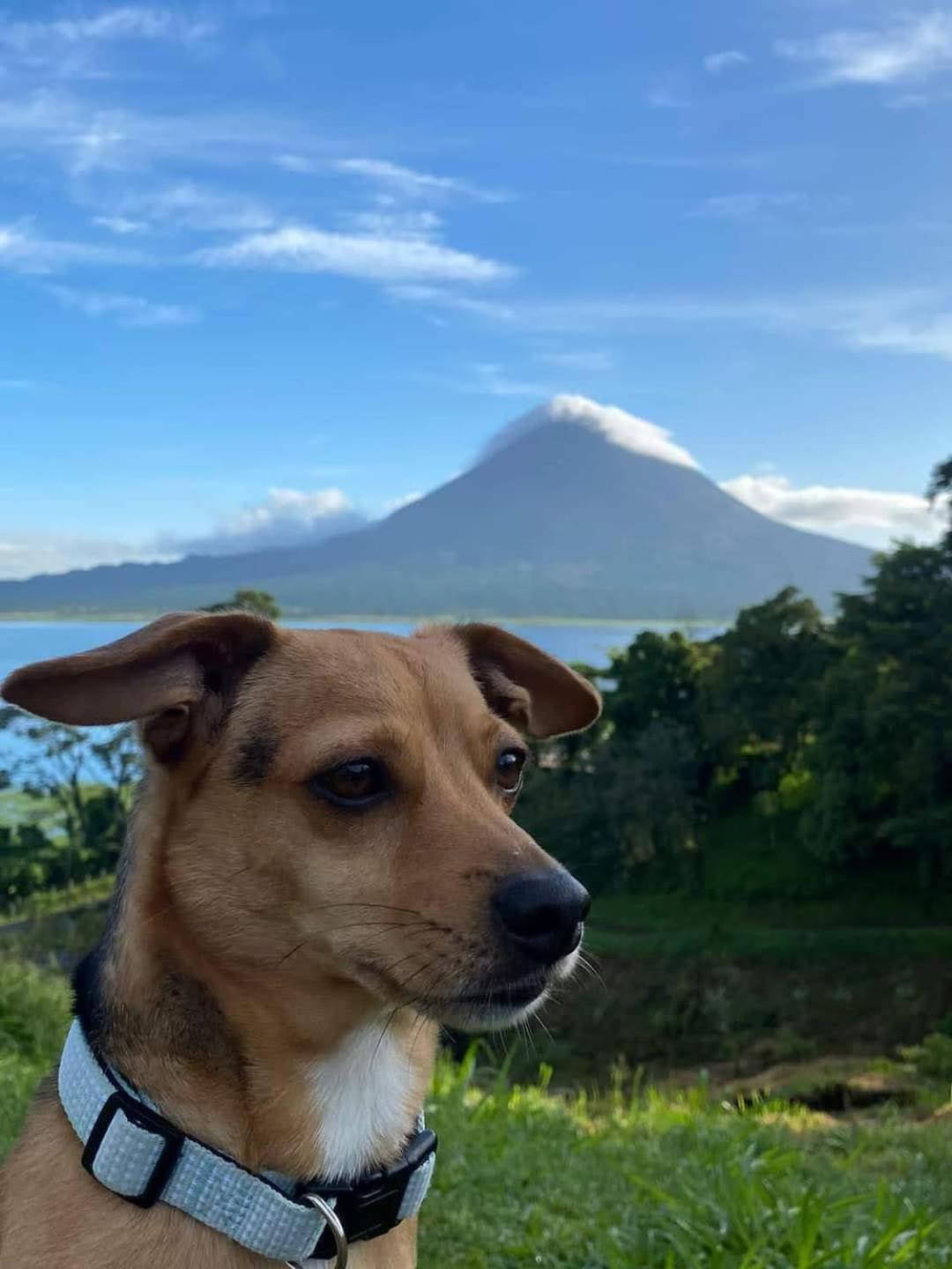 Sunset Inn La Fortuna Eksteriør bilde